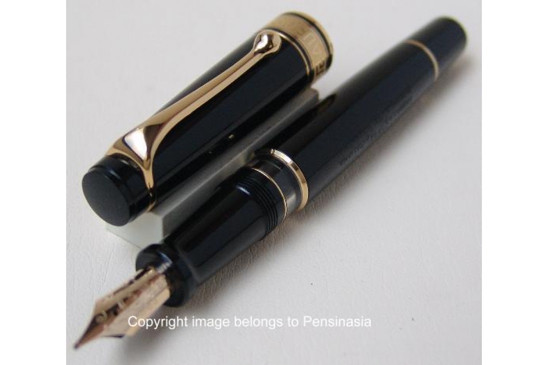 Aurora Optima Black Resin Gold Plated Trims Fountain Pen