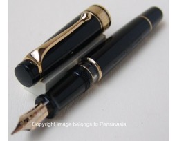 Aurora Optima Black Resin Gold Plated Trims Fountain Pen