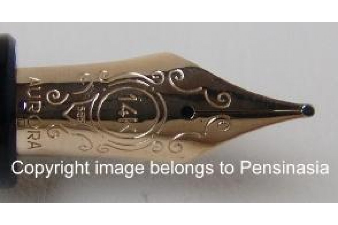 Aurora Optima Black Resin Gold Plated Trims Fountain Pen