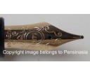 Aurora Optima Black Resin Gold Plated Trims Fountain Pen
