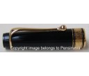 Aurora Optima Black Resin Gold Plated Trims Fountain Pen