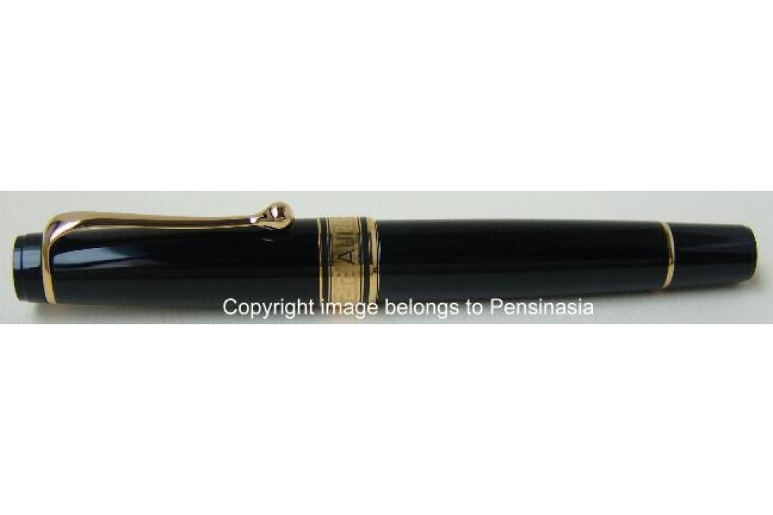 Aurora Optima Black Resin Gold Plated Trims Fountain Pen
