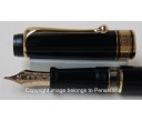 Aurora Optima Black Resin Gold Plated Trims Fountain Pen