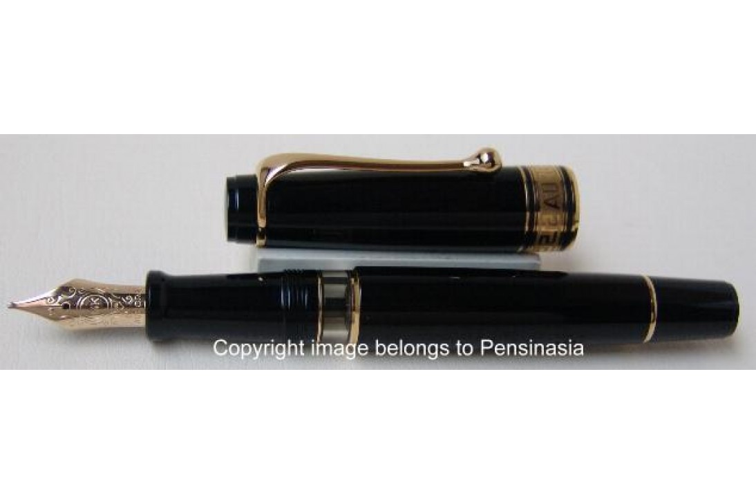 Aurora Optima Black Resin Gold Plated Trims Fountain Pen