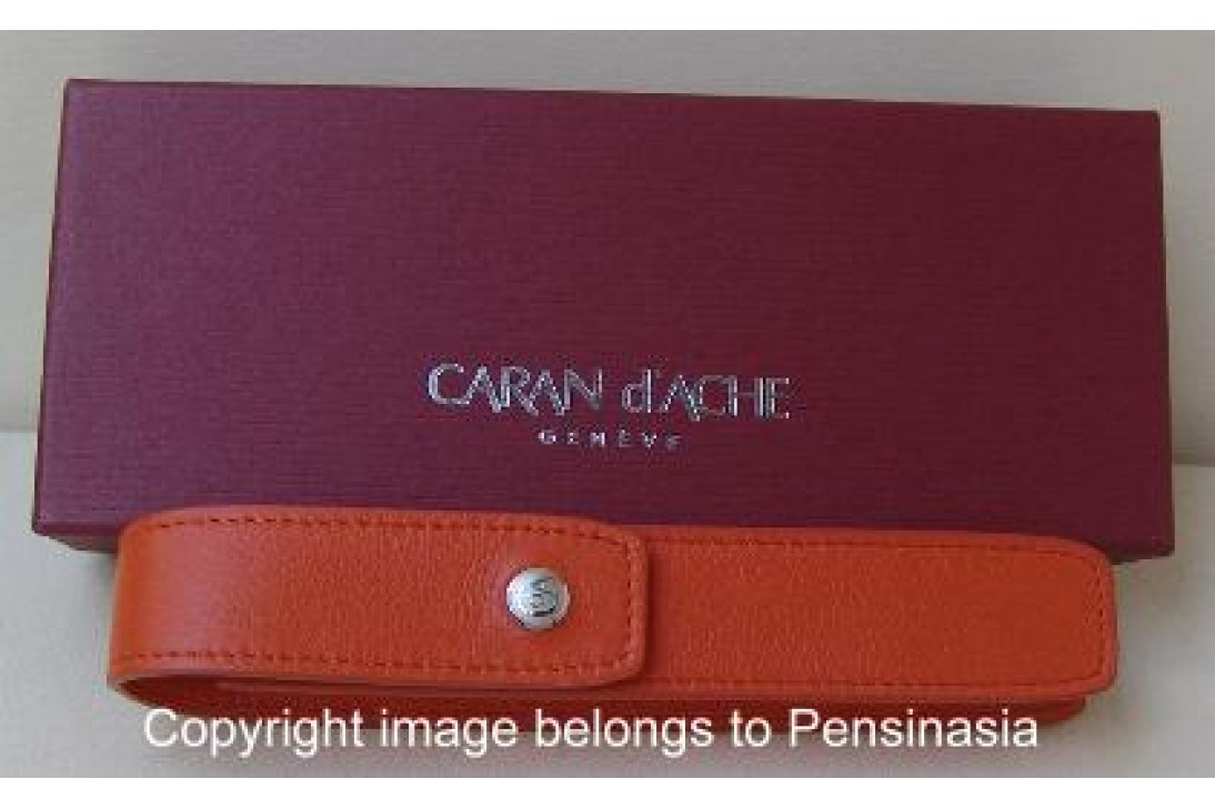 Caran d'Ache Pen Case and Others