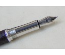 Caran d'ache Varius Alligator Silver Plated Rhodium Coated Fountain Pen