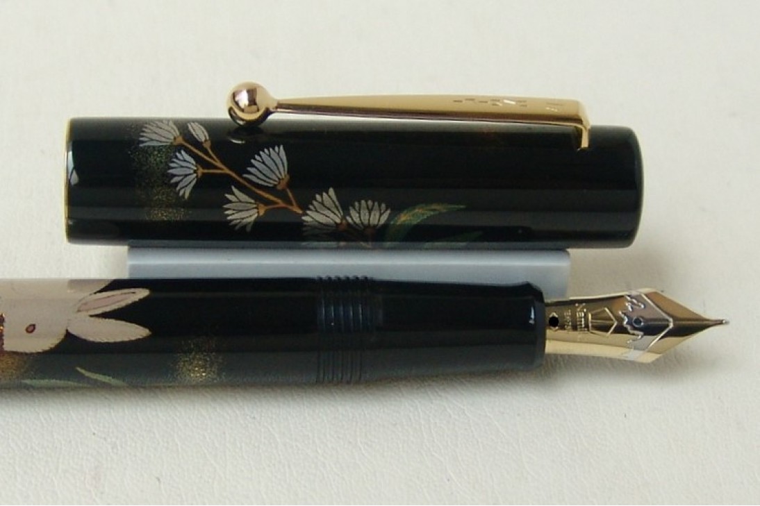 Pens
