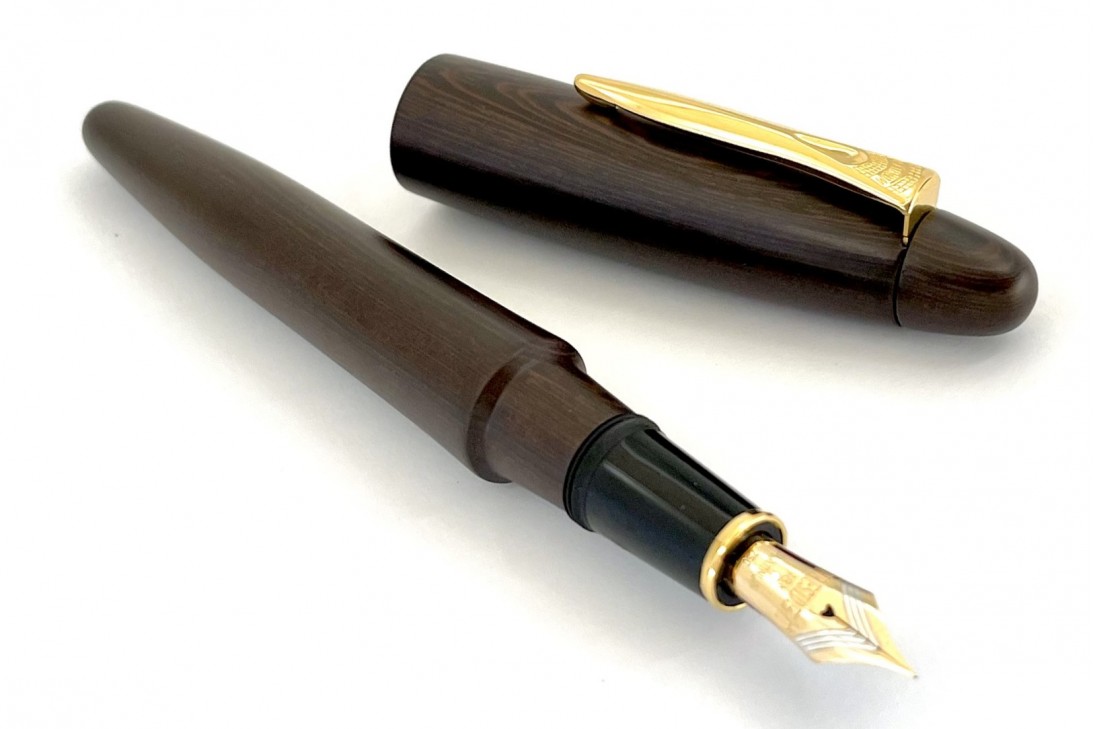 Platinum Izumo-Tagayasan Matte Fountain Pen