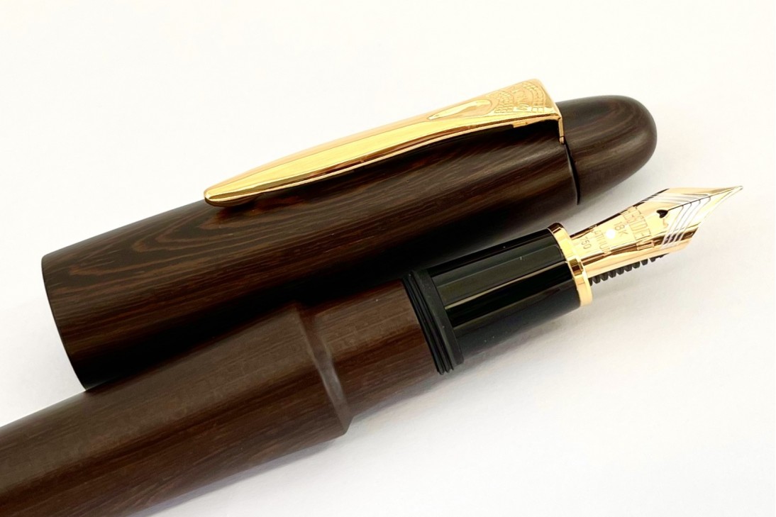 Platinum Izumo-Tagayasan Matte Fountain Pen