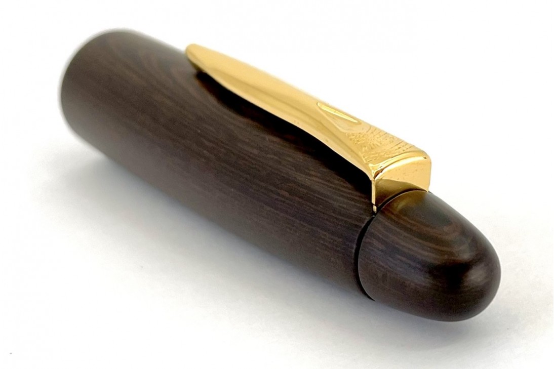 Platinum Izumo-Tagayasan Matte Fountain Pen