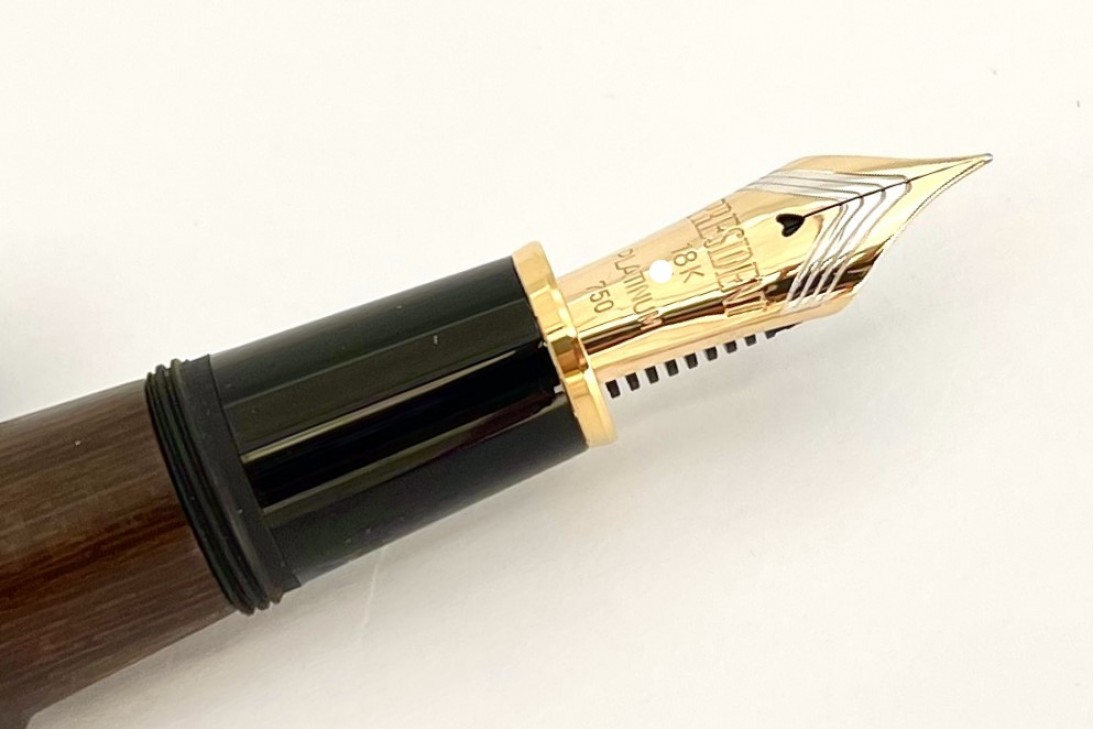 Platinum Izumo-Tagayasan Matte Fountain Pen