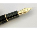 Platinum 10th Anniversary Limited Edition 3776 Century DECADE Fountain Pen