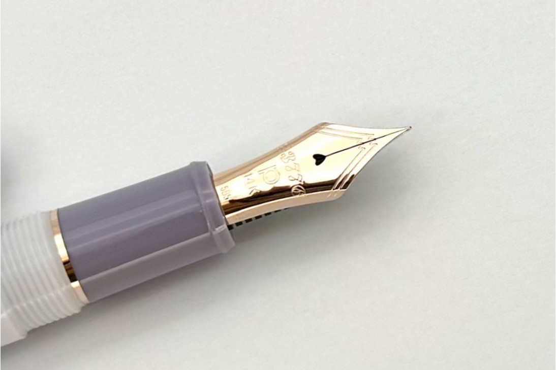 Platinum Limited Edition 3776 Century Misty Bloom Fountain Pen