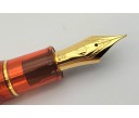 Sailor Limited Edition King of Pen Pro Gear Christmas Spice Tea Fountain Pen