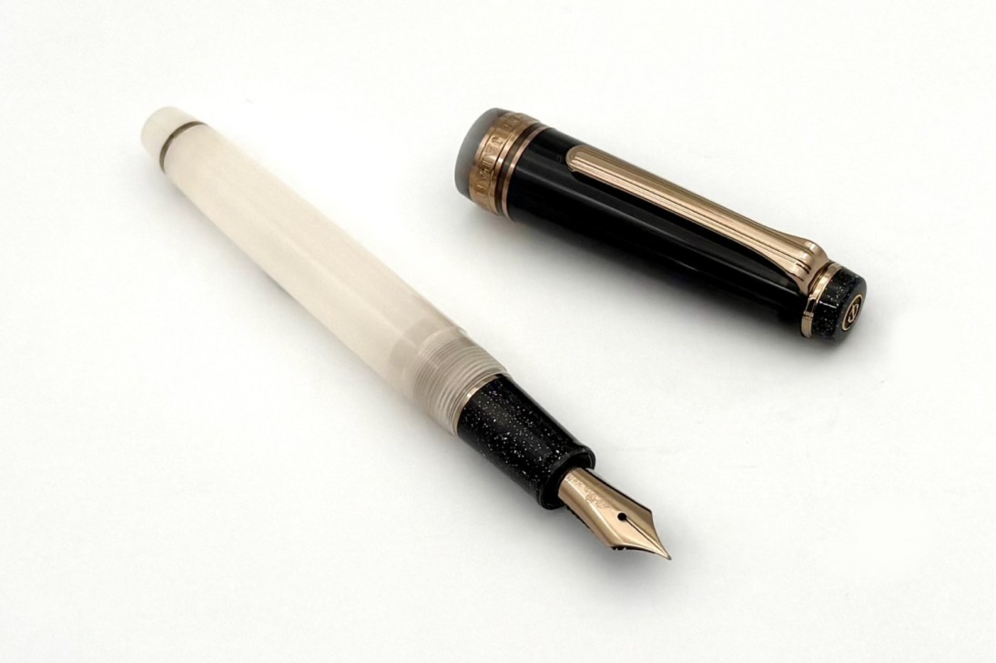 Sailor Progear Slim Dried Flower 2 Black Rose Fountain Pen