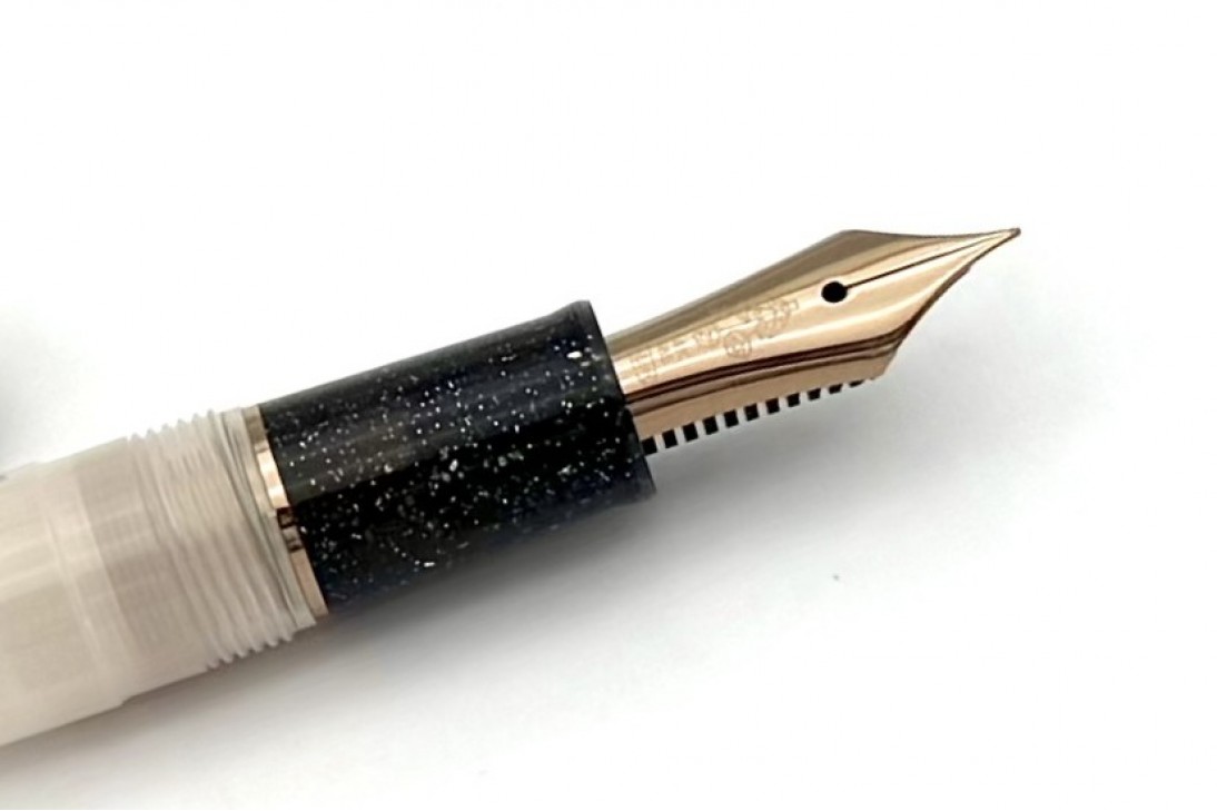 Sailor Progear Slim Dried Flower 2 Black Rose Fountain Pen