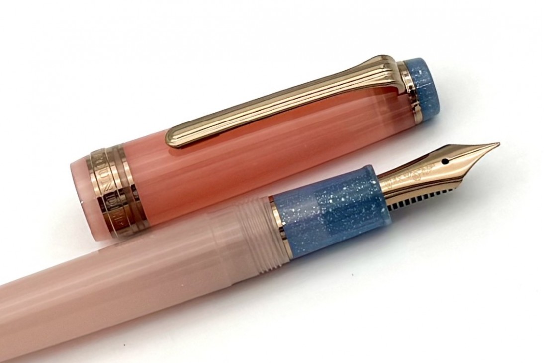 Sailor Progear Slim Dried Flower 2 Globe Amaranth Fountain Pen
