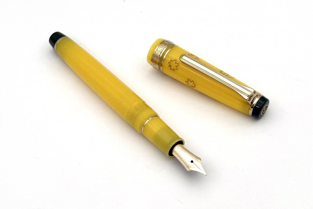 Sailor Progear Slim Japanese Scenery Tasogare Fountain Pen