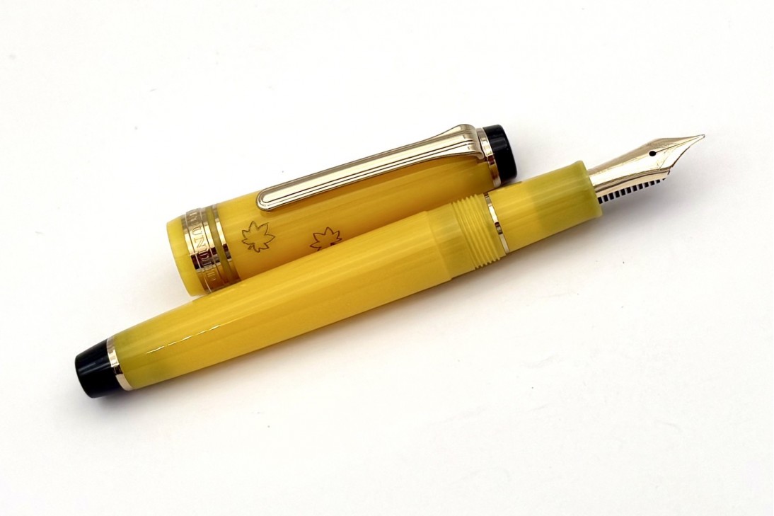 Sailor Progear Slim Japanese Scenery Tasogare Fountain Pen