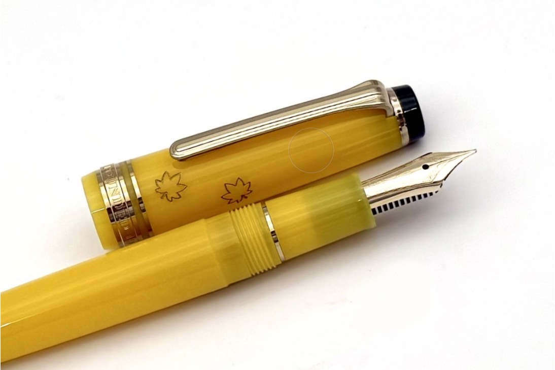 Sailor Progear Slim Japanese Scenery Tasogare Fountain Pen