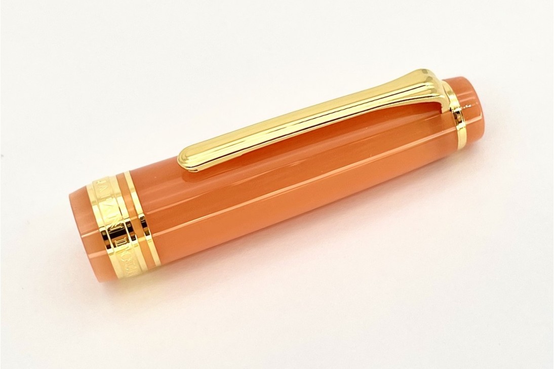 Sailor Seasonal Festivals ProGear Slim Kiku Fountain Pen