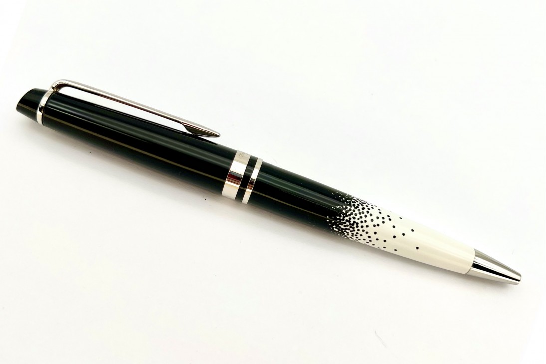 Waterman Expert Ombres Et Lumieres Chrome Trim Ball Pen
