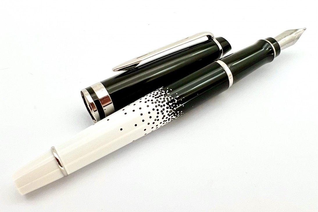 Waterman Expert Ombres Et Lumieres Chrome Trim Fountain Pen