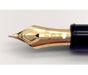 Platinum 3776 Century Black Resin Gold Trim Fountain Pen