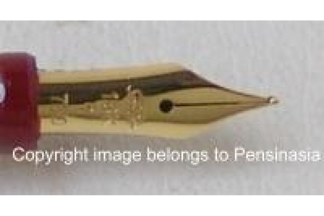 Sailor Chalana Gold Stripe Maroon Fountain Pen