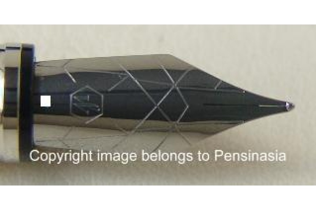 Waterman Perspective Black CT Fountain Pen
