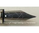Waterman Perspective Black CT Fountain Pen