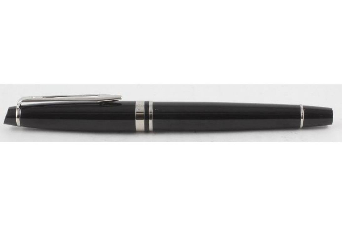 Waterman Expert III
