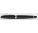 Waterman Expert III