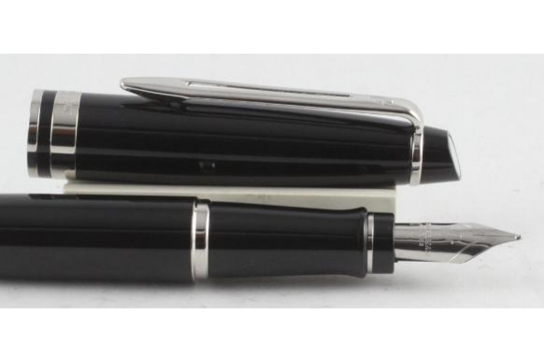 Waterman Expert III