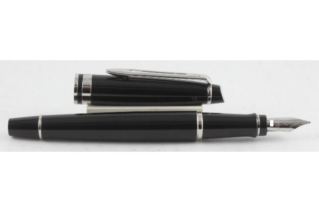 Waterman Expert III