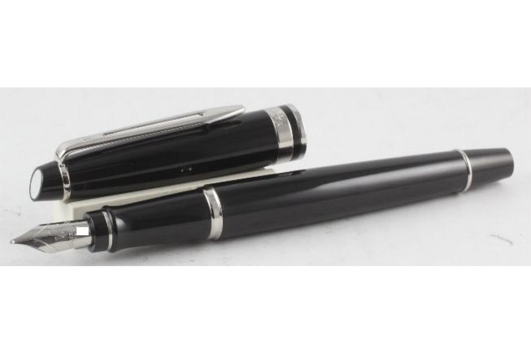 Waterman Expert III