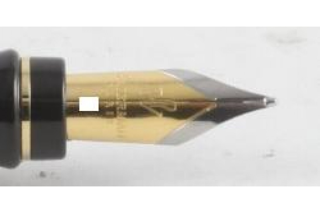 Waterman Expert III Black Gold Trim Fountain Pen