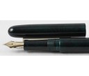 Nakaya Cigar Long New Tamesukashi Seiryu Fountain pen