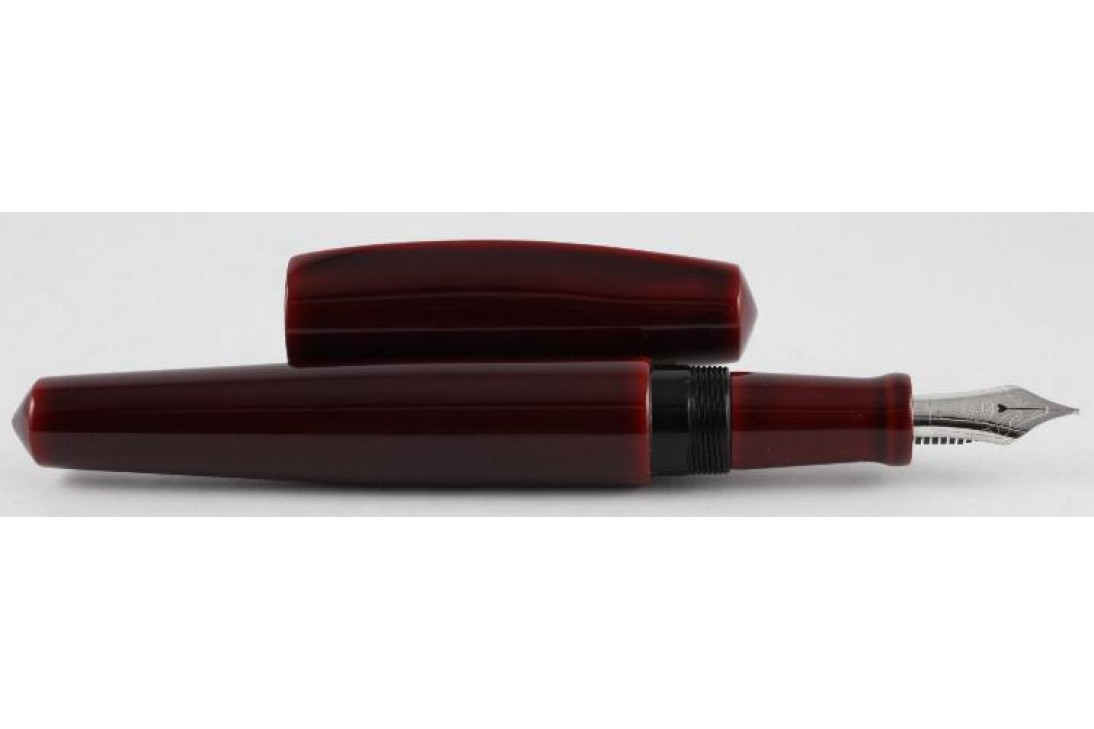 Nakaya Dorsal Fin Ver. I Tamenuri Finish Akatame Fountain Pen