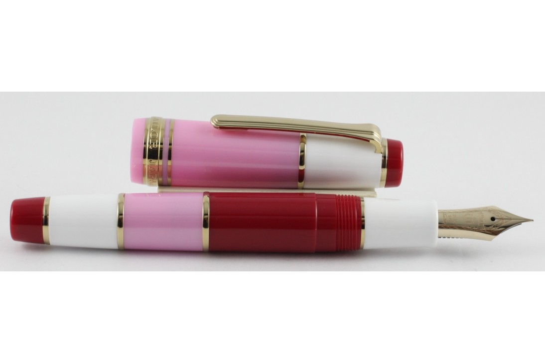 Sailor Professional Gear Millecolore Pink Fountain Pen