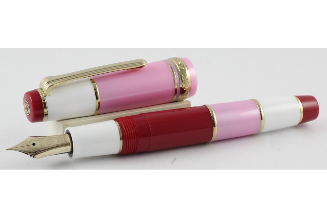 Sailor Professional Gear Millecolore Pink Fountain Pen