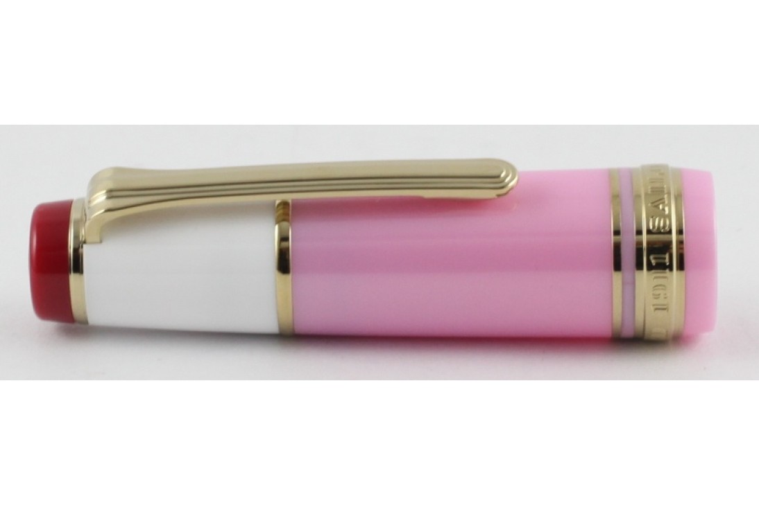 Sailor Professional Gear Millecolore Pink Fountain Pen