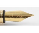 Waterman Perspective Black Gold Trim Fountain Pen