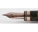 Omas Limited Edition Ogiva Saft Green Celluloid with Rose Gold Trim Fountain Pen