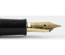 Pelikan Special Edition M120 Green Black Fountain Pen